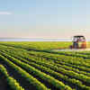 India’s agri waste-to-energy initiative to get ₹857 cr boost from Govt: MNRE Secretary