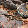 Govt scraps auction of 9 critical mineral blocks citing poor investor response