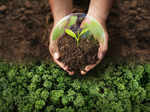 nature vs nurture changing dynamics and what that means for society culture and business