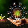 IIT campuses launch six-month residential programme to train graduates in renewable energy systems