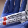 Adult dies of hantavirus in Colorado