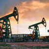 India looks to mature oilfields to strengthen energy security