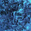 Researchers develop oral capsule to control gut bacteria via mobile app
