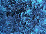 Image thumb researchers develop oral capsule to control gut bacteria via mobile app