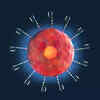 Feed Image