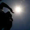 Feed Image