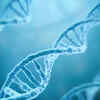 Changes in DNA can help determine heart risks of type 2 diabetes patients