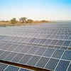 ReNew inks pact with Anzen to sell 300 MW operational solar asset in Rajasthan