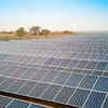 Borosil Renewables Q1 revenue up 37.4% to ₹332 cr; ₹325.91 cr provision for German unit hit profitability