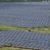 India solar industry seeks higher power prices amid record demand