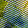 Avaada secures $950 million financing for FDRE and solar projects