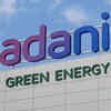 Andhra govt cancels two Adani projects at company's request