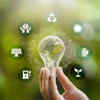 India's early surge to 50% clean energy capacity driven by developers