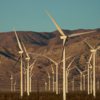 Trump executive order seeks end to wind and solar energy subsidies