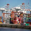Call to extend duty cuts on critical inputs soon