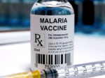 r21 anti malaria vaccine is a game changer scientist who helped design it reflects on 30 years of research and what it promises