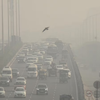 GRAP Stage III curbs invoked in Delhi-NCR amid sharp dip in air quality