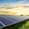 Solar demand surges ahead of deadline for locally made panels