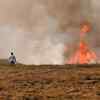 CAQM directs phased adoption of paddy straw-based biomass in Punjab, Haryana brick kilns