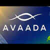 Avaada Ventures to raise ₹3,515 cr via NCDs; $398 mn through ECB for debt refinancing