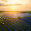 Navitas Planet wins first Africa solar EPC contract worth $20 million