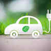 India should focus closely on mobility electrification: IEA executive director