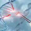 Preliminary genomic analysis of 10,000 Indians expected to kick-start precision medicine in India