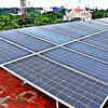 Rajasthan govt mandates tree plantation in renewable projects