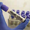 TN tightens Nipah surveillance; fever clusters on radar