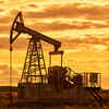 India, Japan agree on crude oil stockpiling &amp; reserve systems