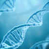 Study identifies 74 locations in human genome related to anxiety symptoms