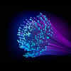 Demand in India Driven by AI Infrastructure, Hyperscale Data Centers, Cloud/HPC, 5G, FTTH, Enterprise Fiberisation, Rural Connectivity, and Network Modernisation