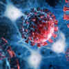 Long-COVID, viruses, 'zombie' cells: new research looks for links to chronic fatigue, brain fog