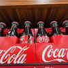Coca-Cola mulls filing draft papers for USD 1 billion India IPO in December