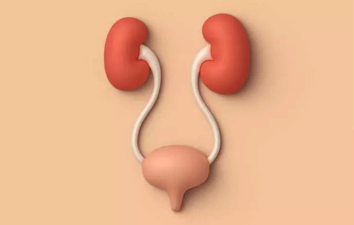 Even with vital paediatric kidney transplantation dangers, safer choice for youngsters with CKD – ET HealthWorld