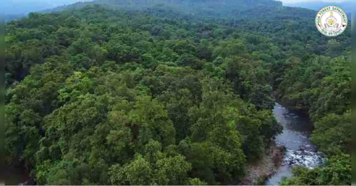 Goa Forest Development Corp to take care of tourism activities in ...