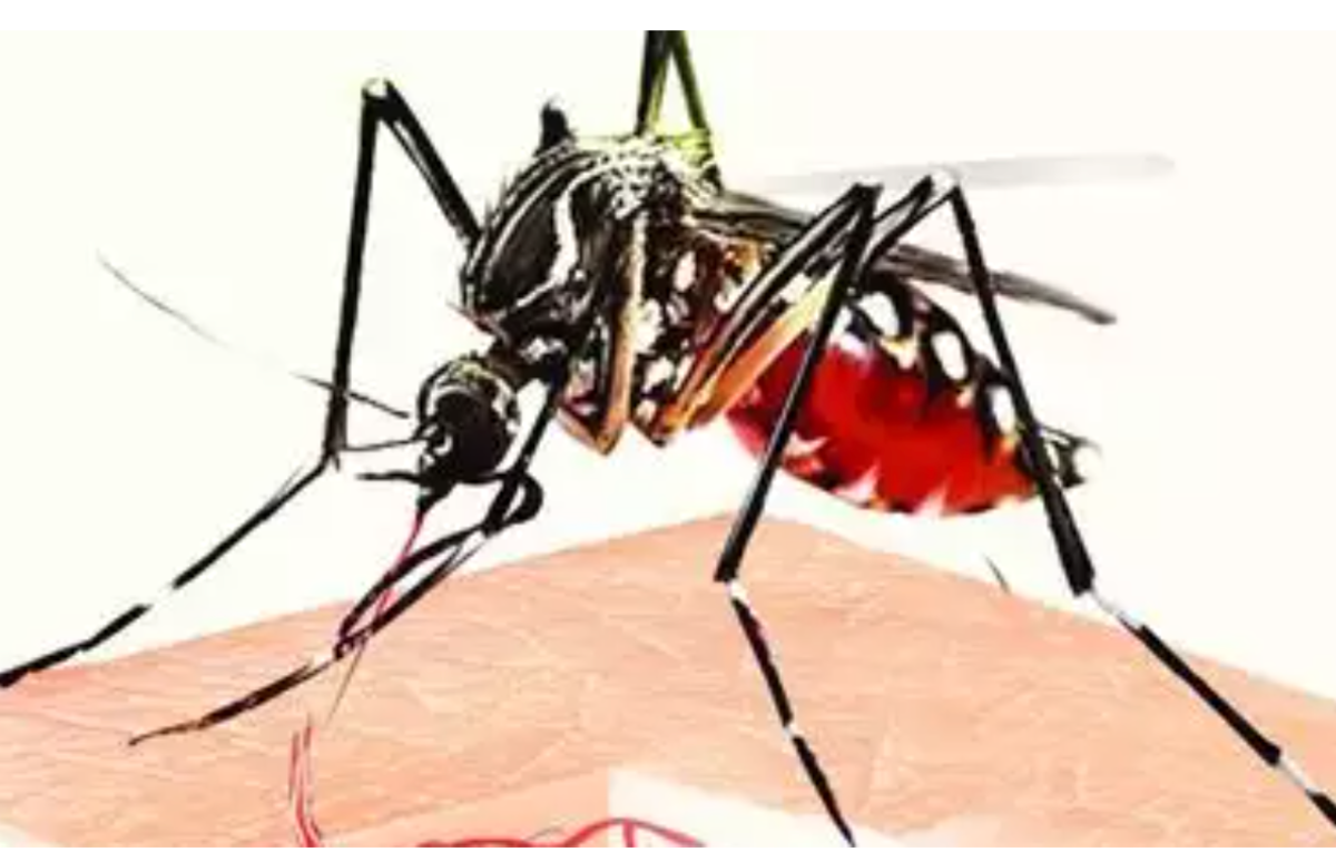 Dengue's escalating economic toll on India: Time for urgent action - ETHealthWorld