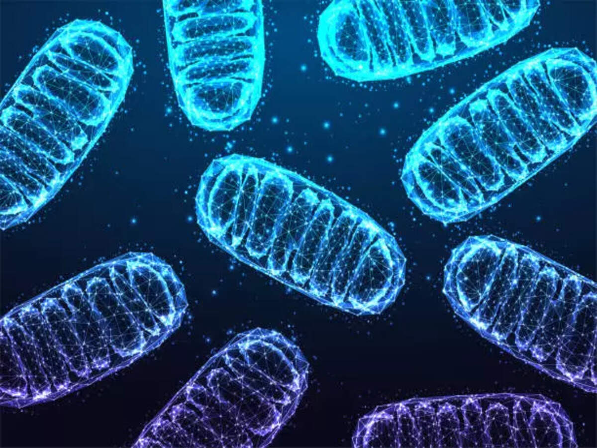 how much glutathione for mold Glutathione for Mold Detox in NYC: Naturopath Guide