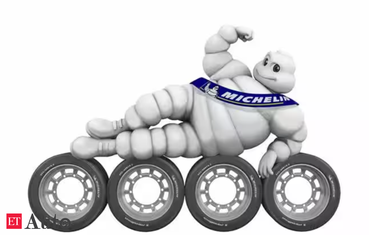 The Michelin Group  the tire and mobility leader