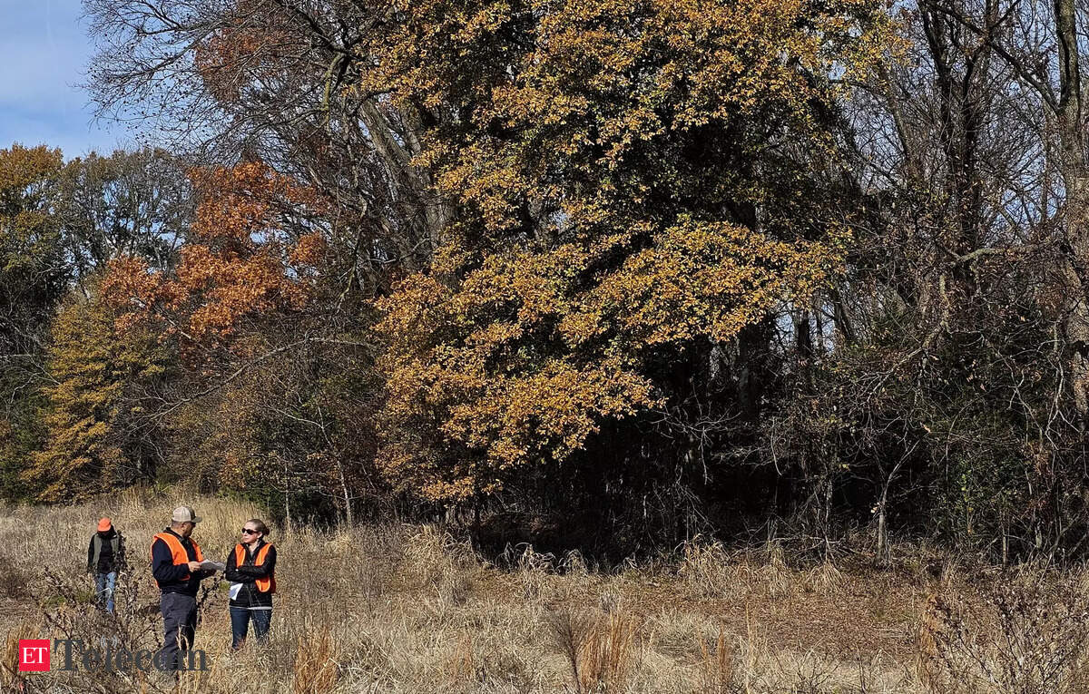 Microsoft inks carbon removal deal with offsets startup Chestnut, ET Telecom - Vimarsana News