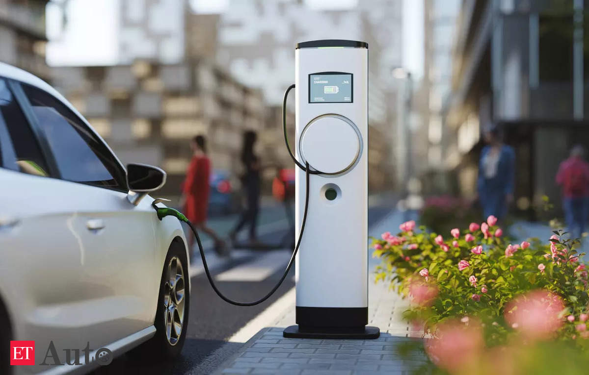 Industry pain abounds as electric car demand hits slowdown, Auto News, ET Auto