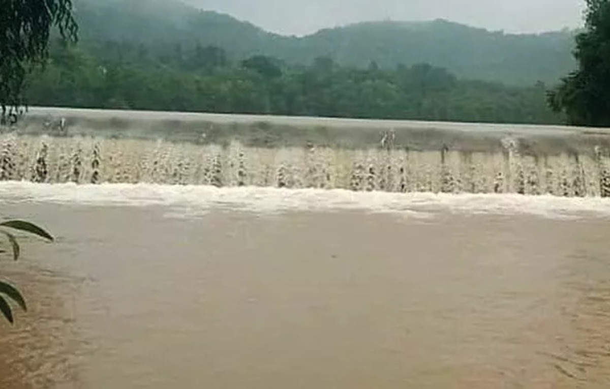 Construction of dams have turned Sutlej into rivulet: SC judge – ET Infra