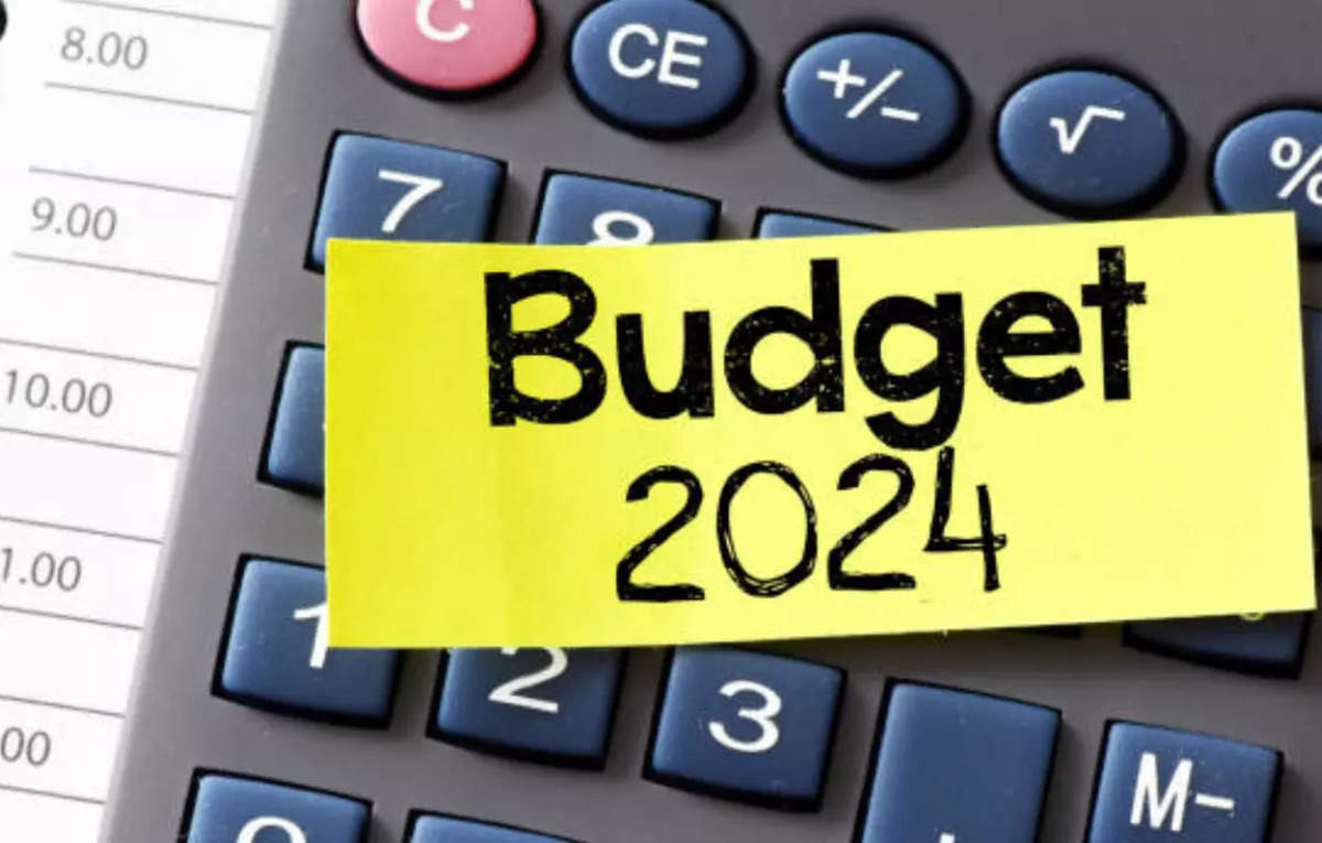 Budget 2024 Reactions Industry voices disappointment over Budget 2024