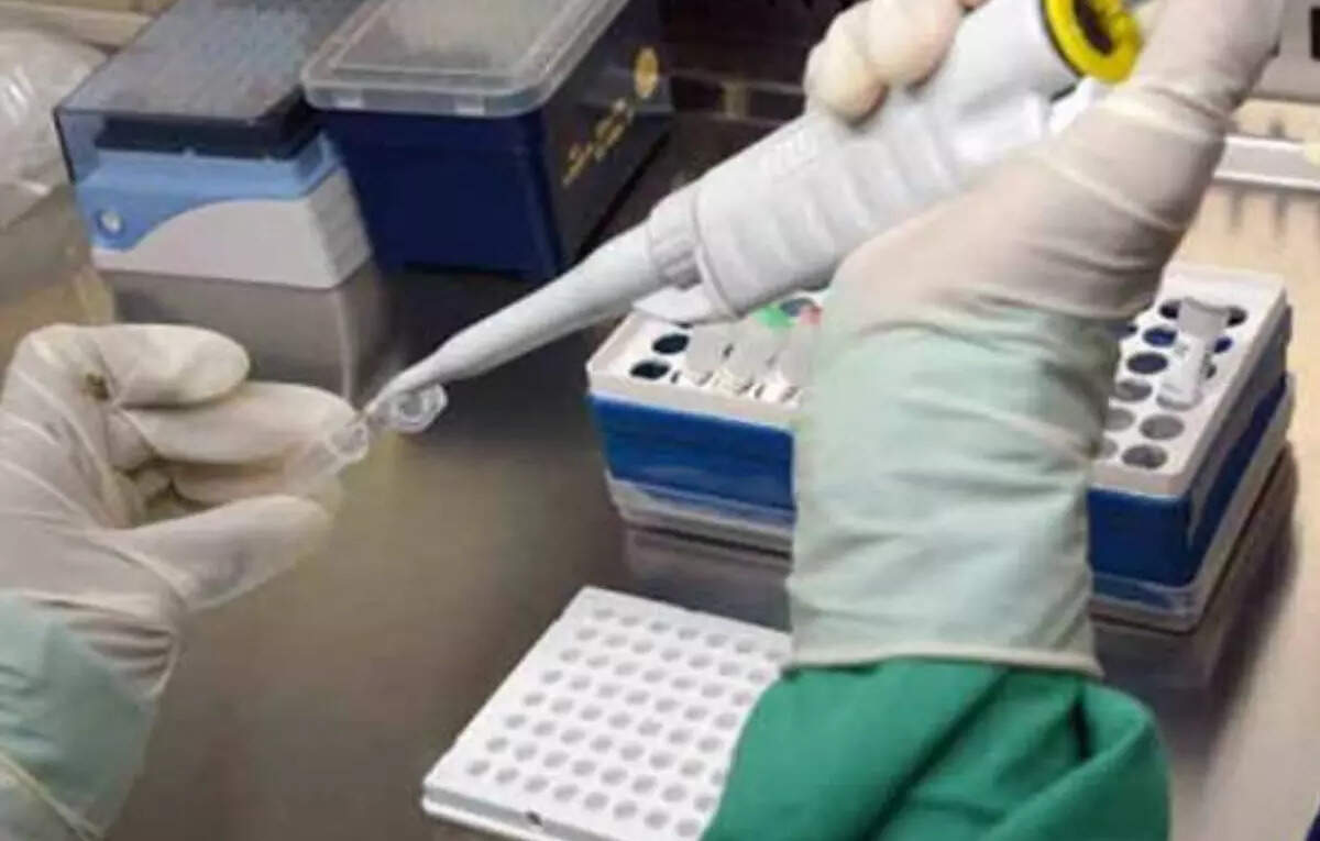 Brazil records world's first Oropouche virus deaths: ministry, ET