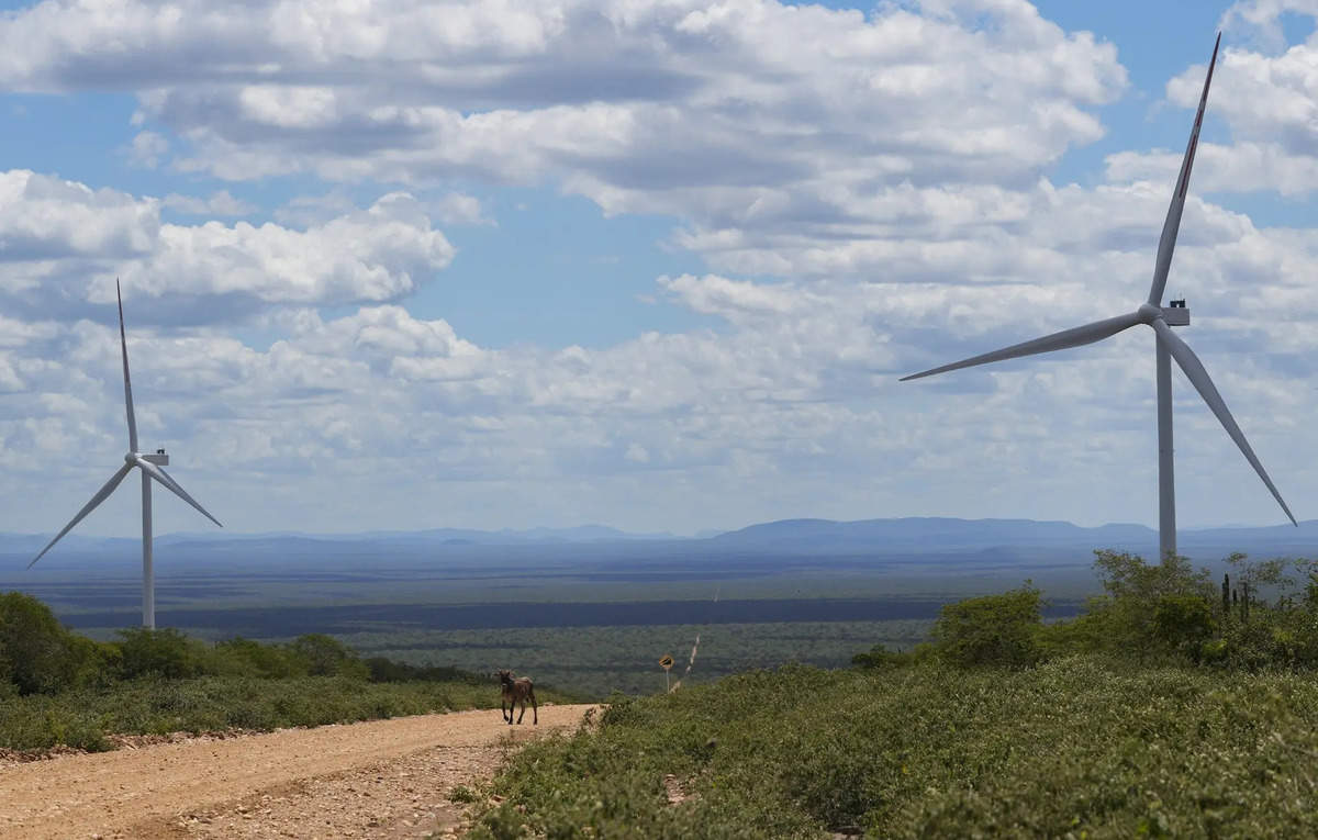 Tamil Nadu imposes ₹50 lakh per MW fee on central grid wind projects to boost local energy goals, ET EnergyWorld