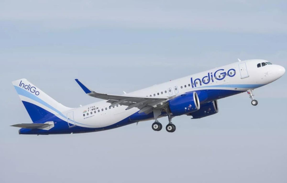 IndiGo Posts Revenue Growth Amid Losses