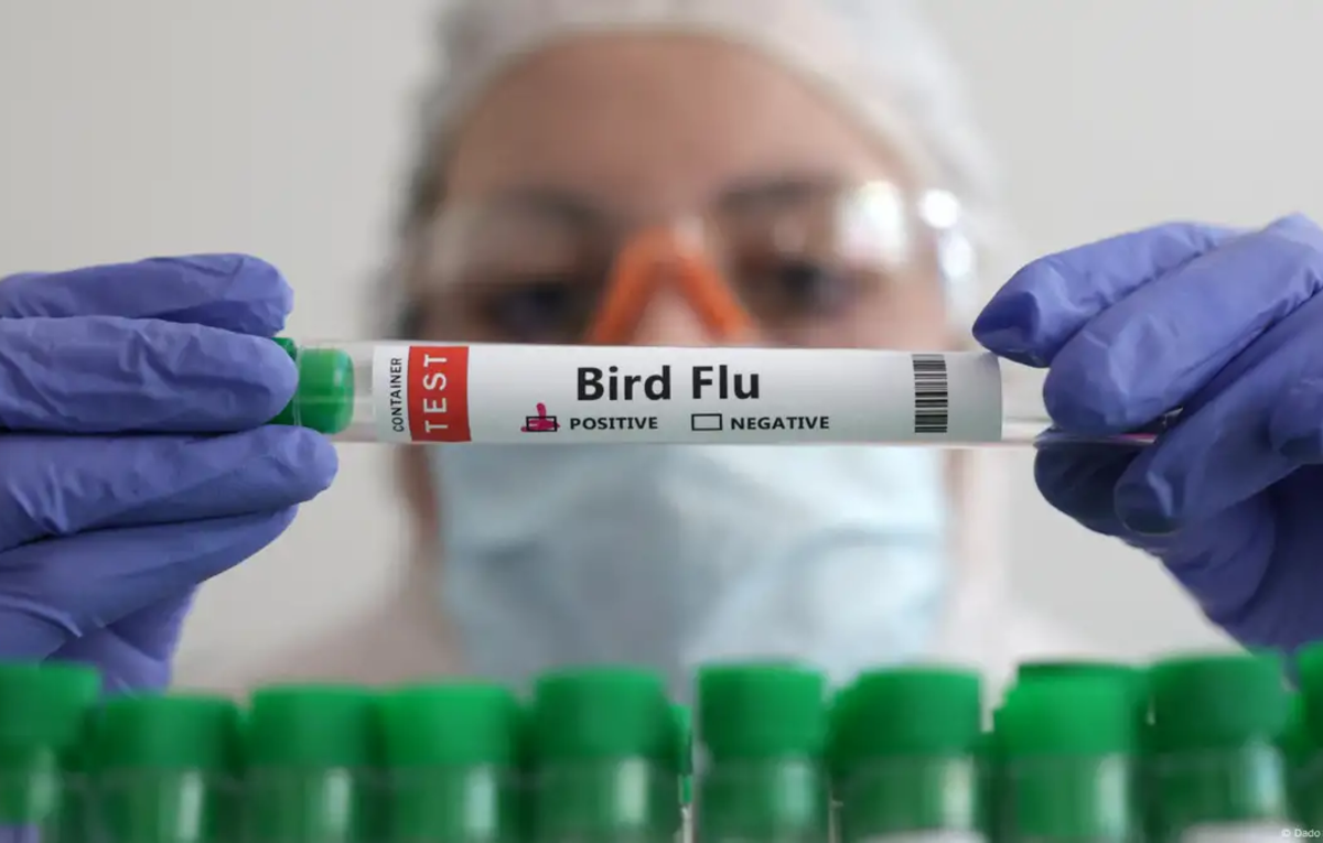 H5 Bird Flu Canada: Canada detects its first presumptive human H5 bird ...