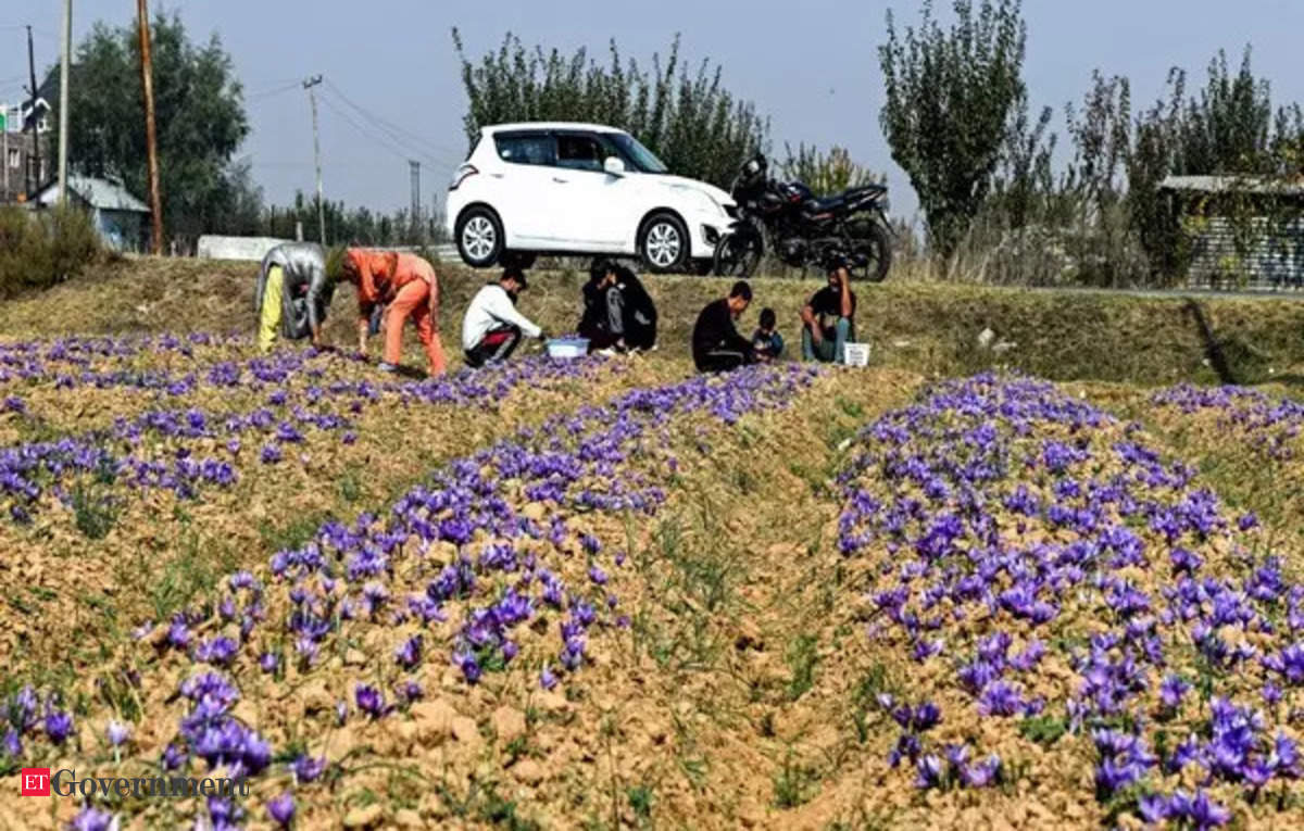 एडीबी ने बागवानी खेती में पादप स्वास्थ्य प्रबंधन को बढ़ावा देने के लिए 98 मिलियन डॉलर का ऋण देने का वादा किया है – ईटी सरकार