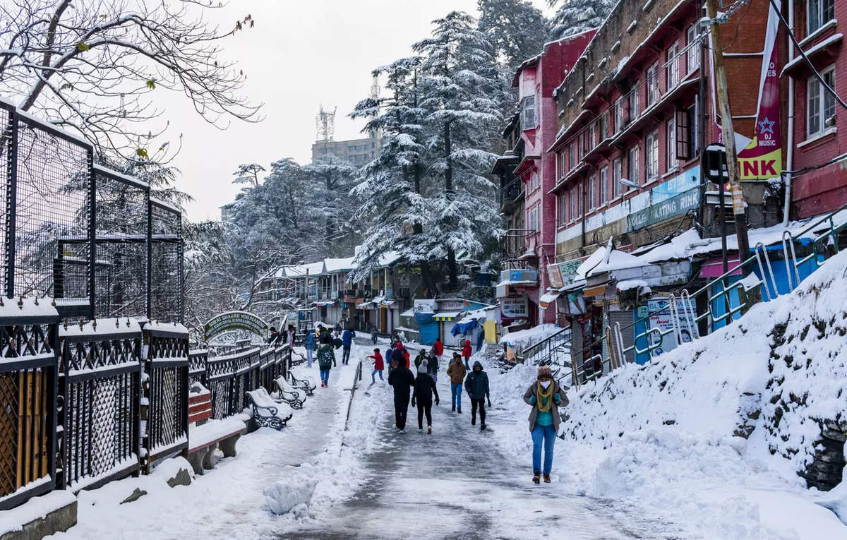 Shimla Snowfall: Shimla sees season's second light snowfall; tourism ...