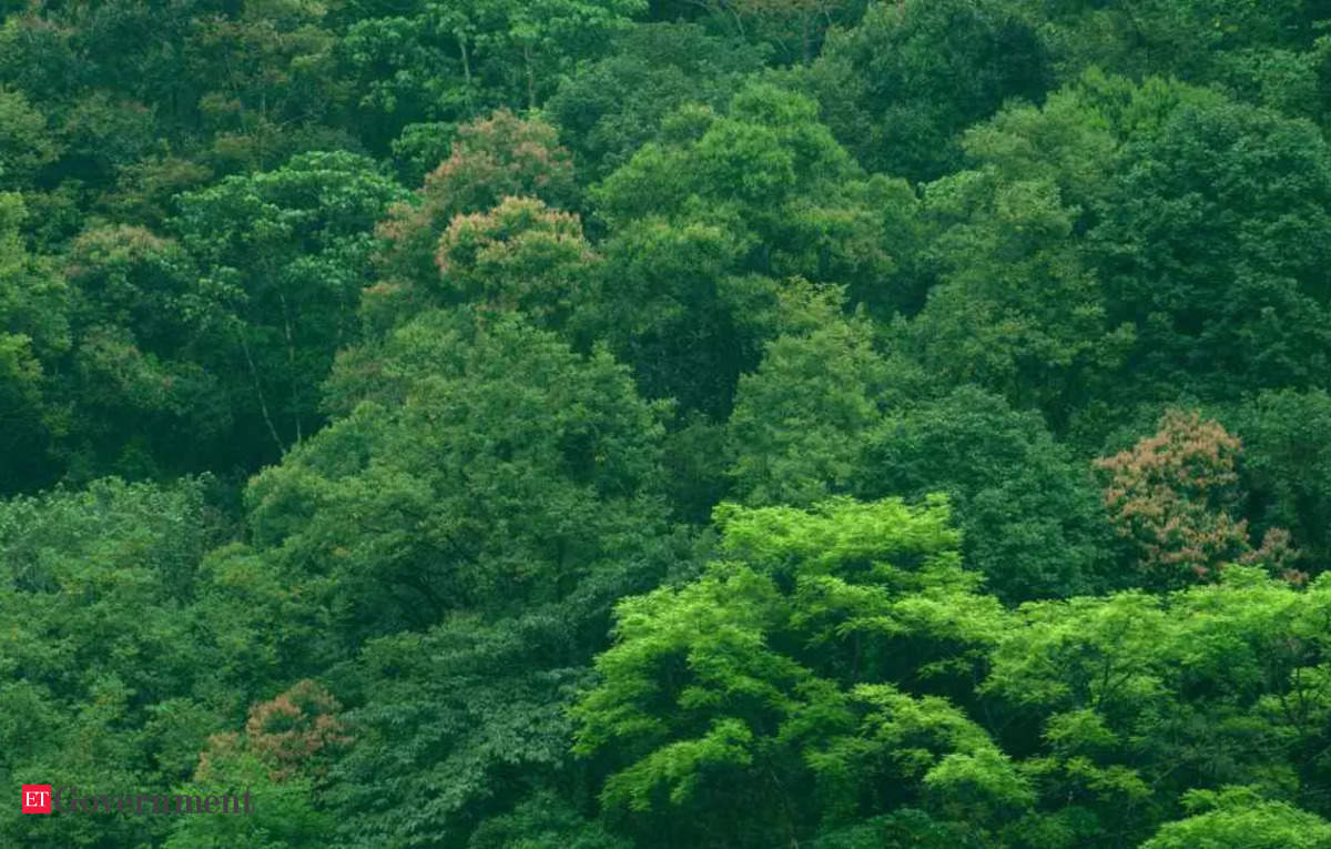 सुप्रीम कोर्ट्स सेंटर को रोकते हैं, किसी भी कदम को उठाने से राज्यों में वन कवर – ईटी सरकार को कम कर सकता है